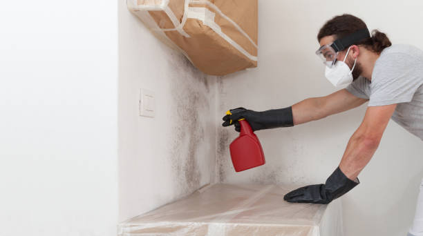 Professional Bathroom Mold Removal technician working in Bridgeport, TX
